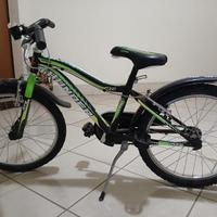 Bicicletta bambino 6-10 anni