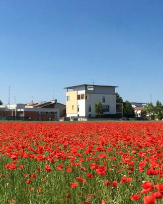 Appartamento su due piani in  Via Elia Capriolo