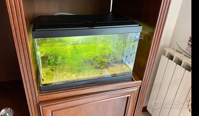 Acquario 16 Litri con accessori inclusi