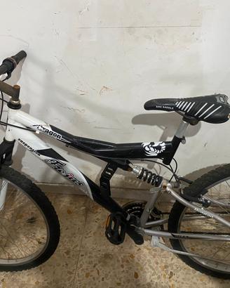Mountain Bike Frejus Dragon