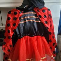 vestito carnevale coccinella