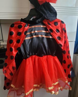 vestito carnevale coccinella