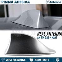 Antenna PINNA SQUALO per FIAT GRIGIA VERO SEGNALE