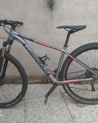 Bianchi Grizzly 29.3