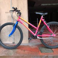 Bici mountain bike