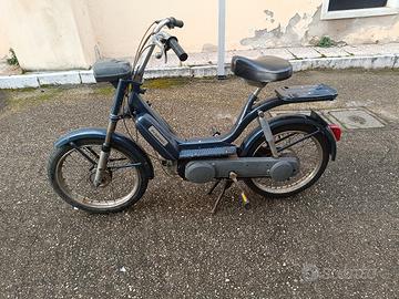piaggio bravo 