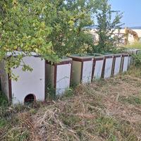 botti/tini in cemento 