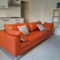 Divano in pelle a Viareggio