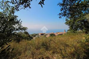 TER. AGRICOLO A ISPANI
