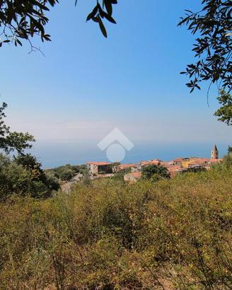TER. AGRICOLO A ISPANI