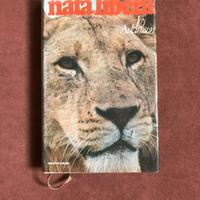 Nata libera - leonessa Elsa - Joy Adamson - 1976