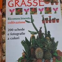 Libro Piante grasse, riconoscimento e coltivazione