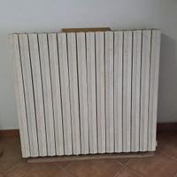 Termosifoni in ghisa