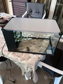Acquario per tartarughe con filtro incluso