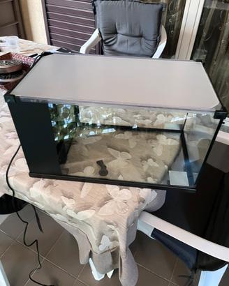 Acquario per tartarughe con filtro incluso