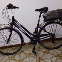Bicicletta city bike telaio a V
