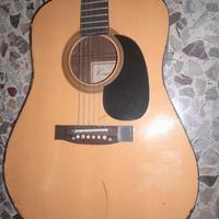 Chitarra acustica con custodia