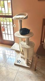 Homidec tiragraffi (Amazon)