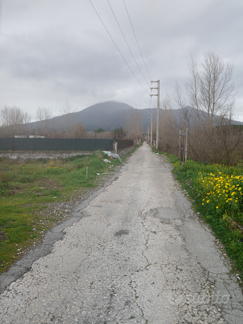 Terreno agricolo seminativo - Vista 5