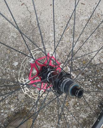 CERCHI Syncros xr2.5