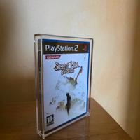 Custodia protettiva in acrilico PS2