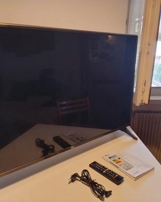TV 43
