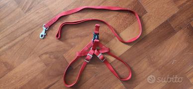 Guinzaglio e Pettorina/imbracatura marca Camon per