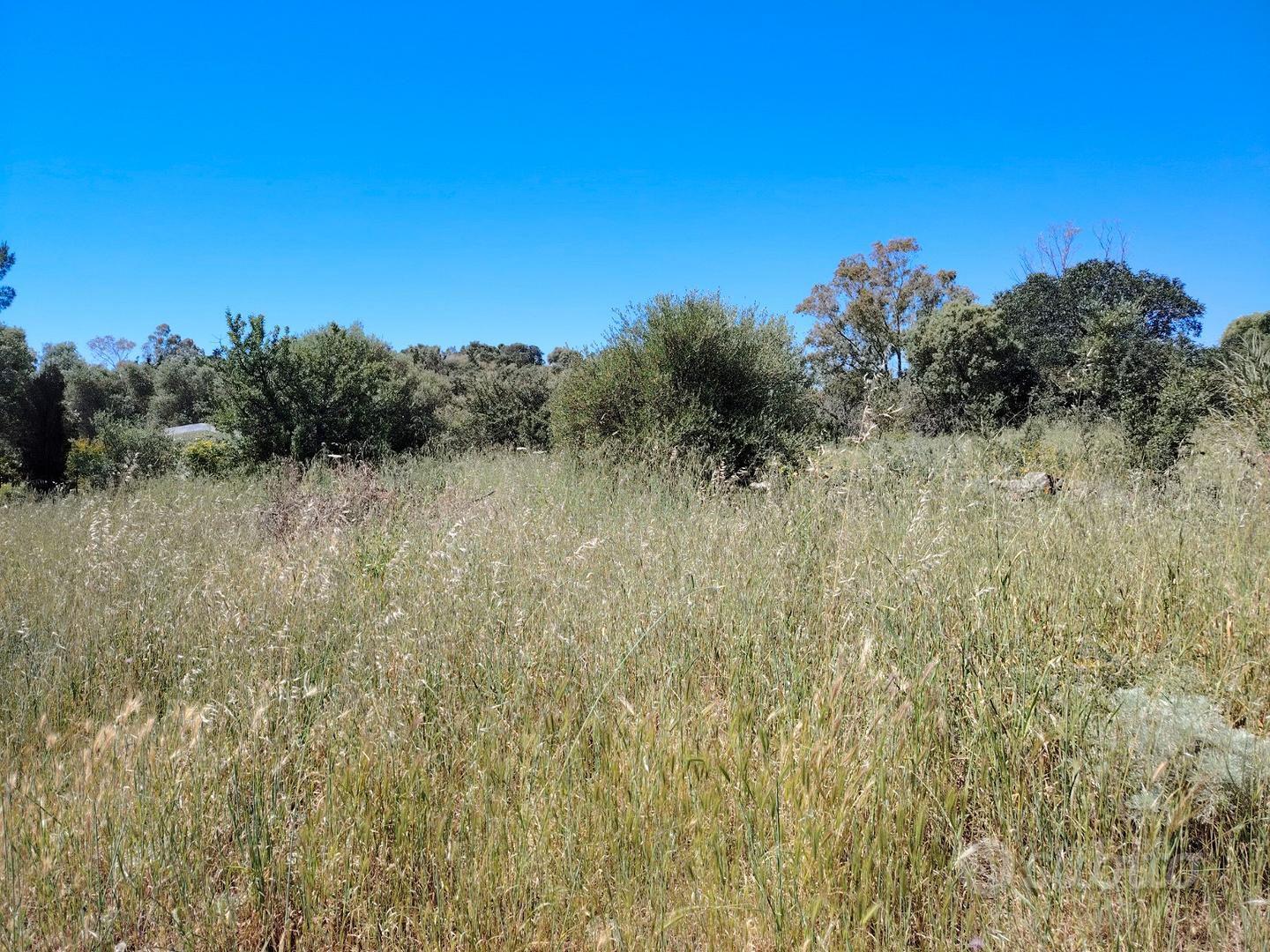 Terreno agricolo - Vista 4