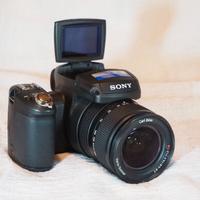 Sony Cyber-shot DSC-R1-SOLO RICAMBI