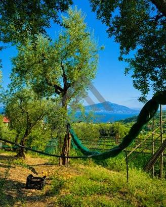 Rustico / Casale di 450 m² con più di 5 locali a S