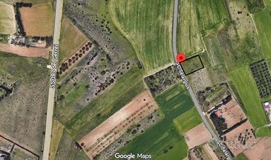 Terreno agricolo 1045 mq -Località Su Padru