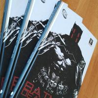 Batman Deathblow : dopo Il Fuoco 

- anno 2006
