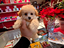 Immagine 20