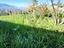 Immagine 29
