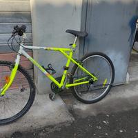 Legnano misura 26”