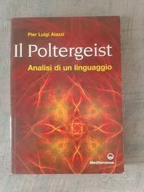 Pier Luigi aiazzi " il poltergeist"