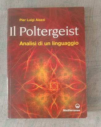 Pier Luigi aiazzi " il poltergeist"