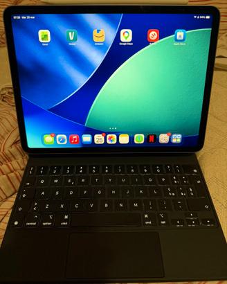 iPad Pro M2 11" + Pencil 2a gen + Magic Keyboard