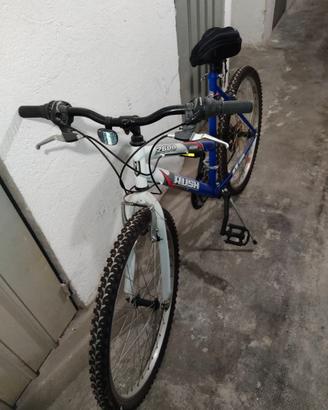 Mountain bike