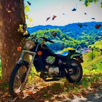 Aprilia red rose 50 cc 1994