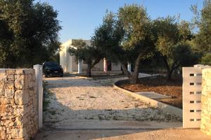 Con gli olivi Home Holiday - Manduria (TA)