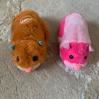 Cricetini giocattolo