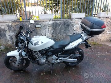 Hornet 600