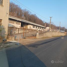 Capannone industriale