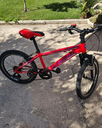 Mountain bike Bottecchia  da bambino 20 pollici 