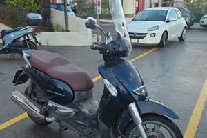 Scarabeo 500