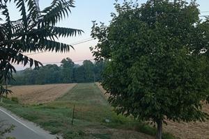 Terreno agricolo in  frazione di Asti
