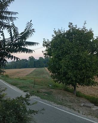 Terreno agricolo in  frazione di Asti