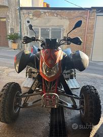 Altro Altro modello - 2010