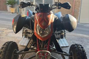 Altro Altro modello - 2010